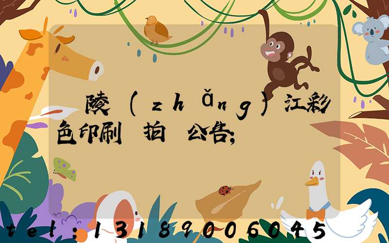 銅陵長(zhǎng)江彩色印刷廠拍賣公告