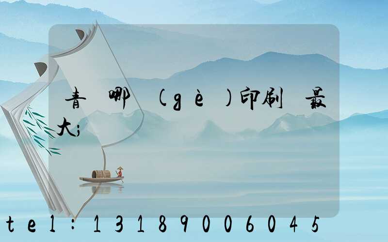 青島哪個(gè)印刷廠最大